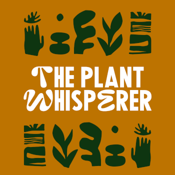 The Plant Whisperer, terrarium and kokedama teacher